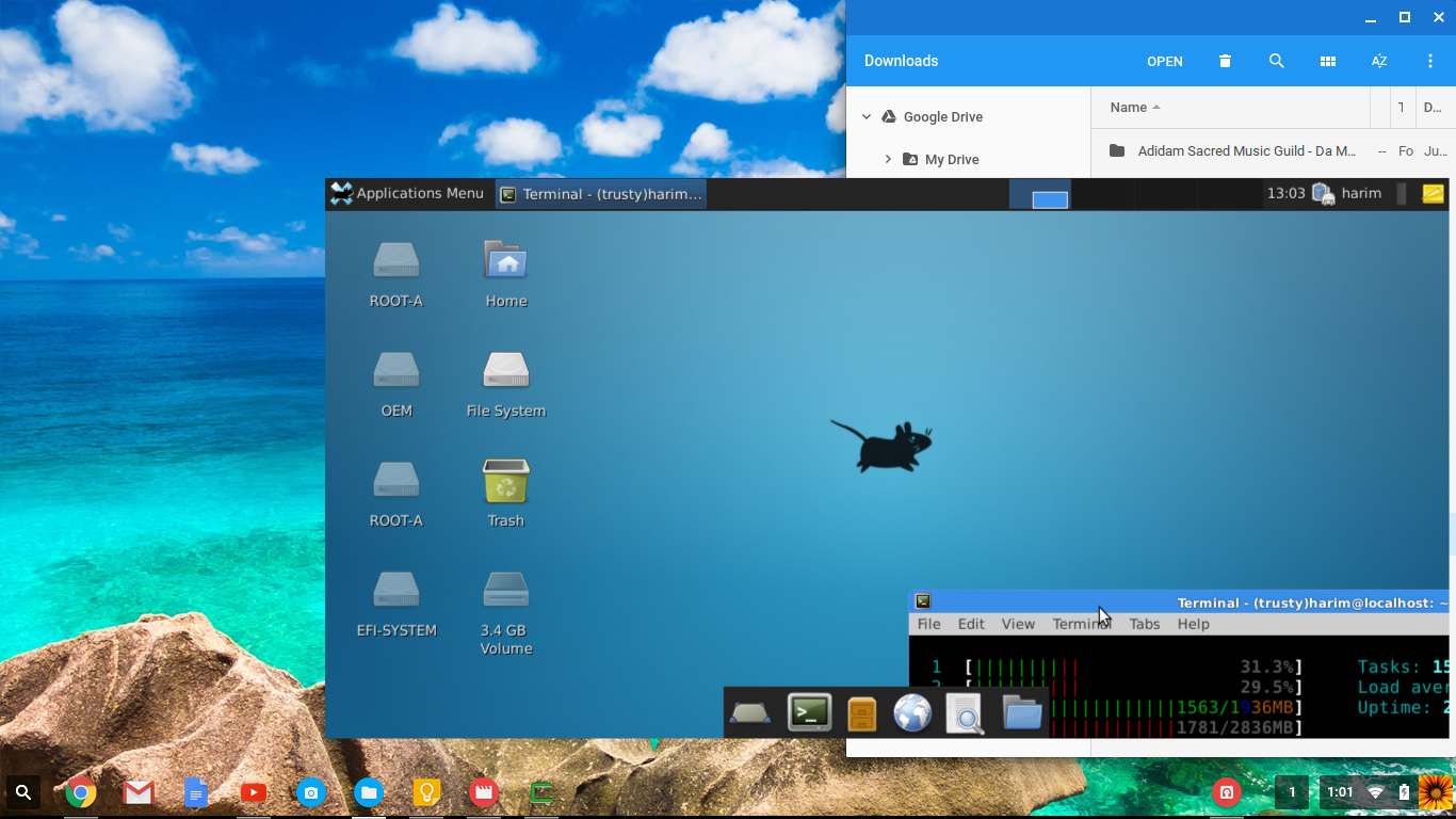 Snapshot of linux (xfce) running on a Chromebook